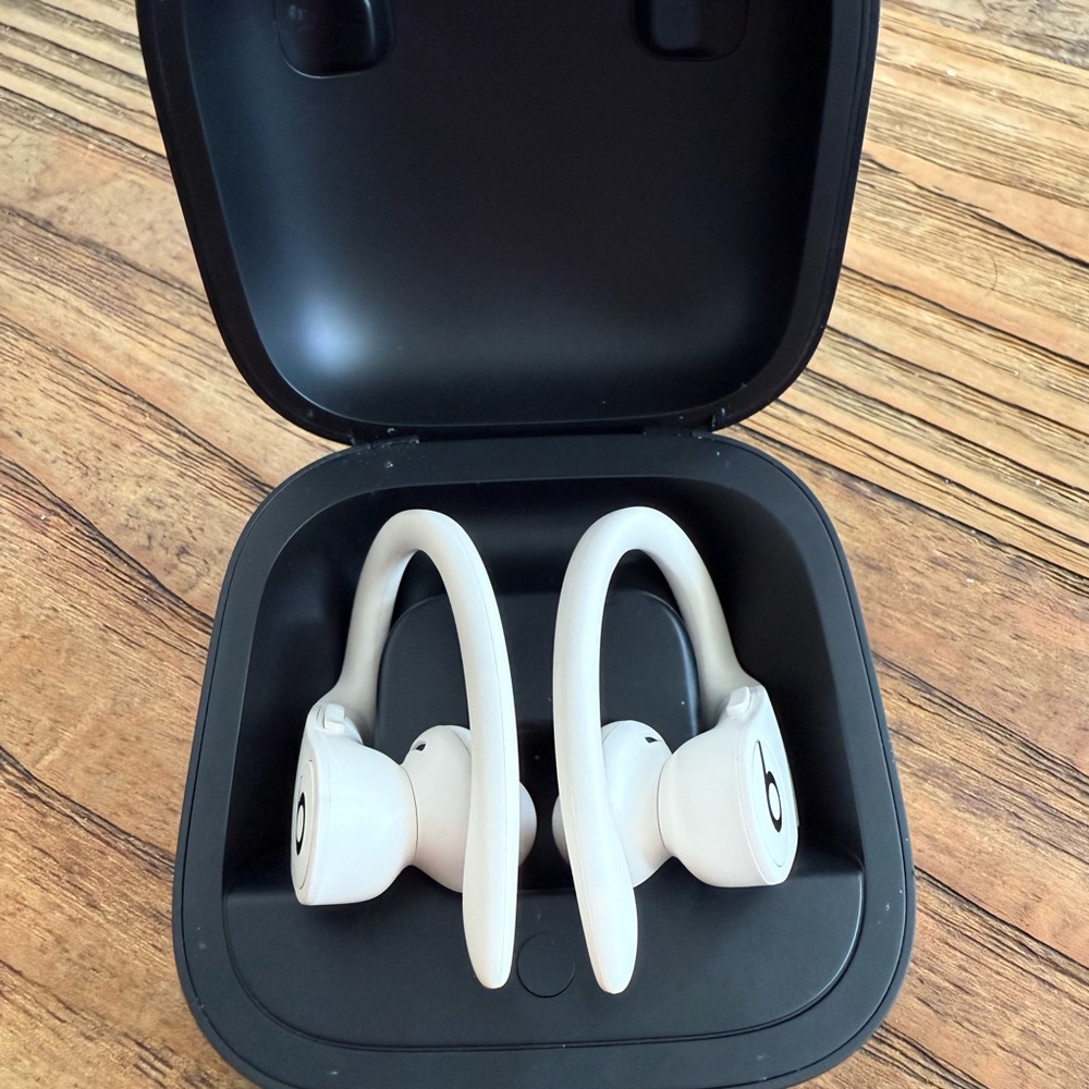 Beats by Dre Powerbeats Pro Wireless
